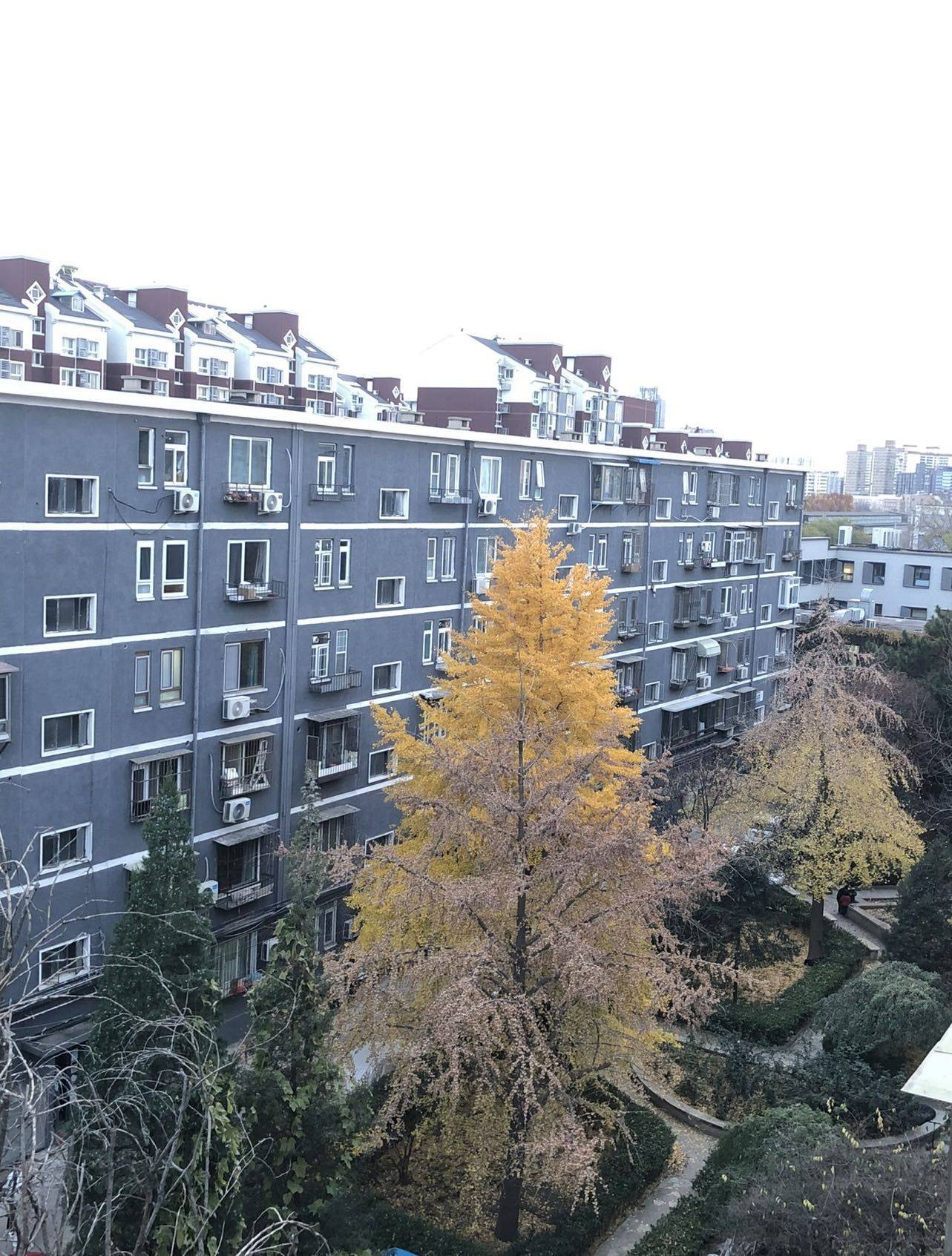 冰窖口胡同73号院