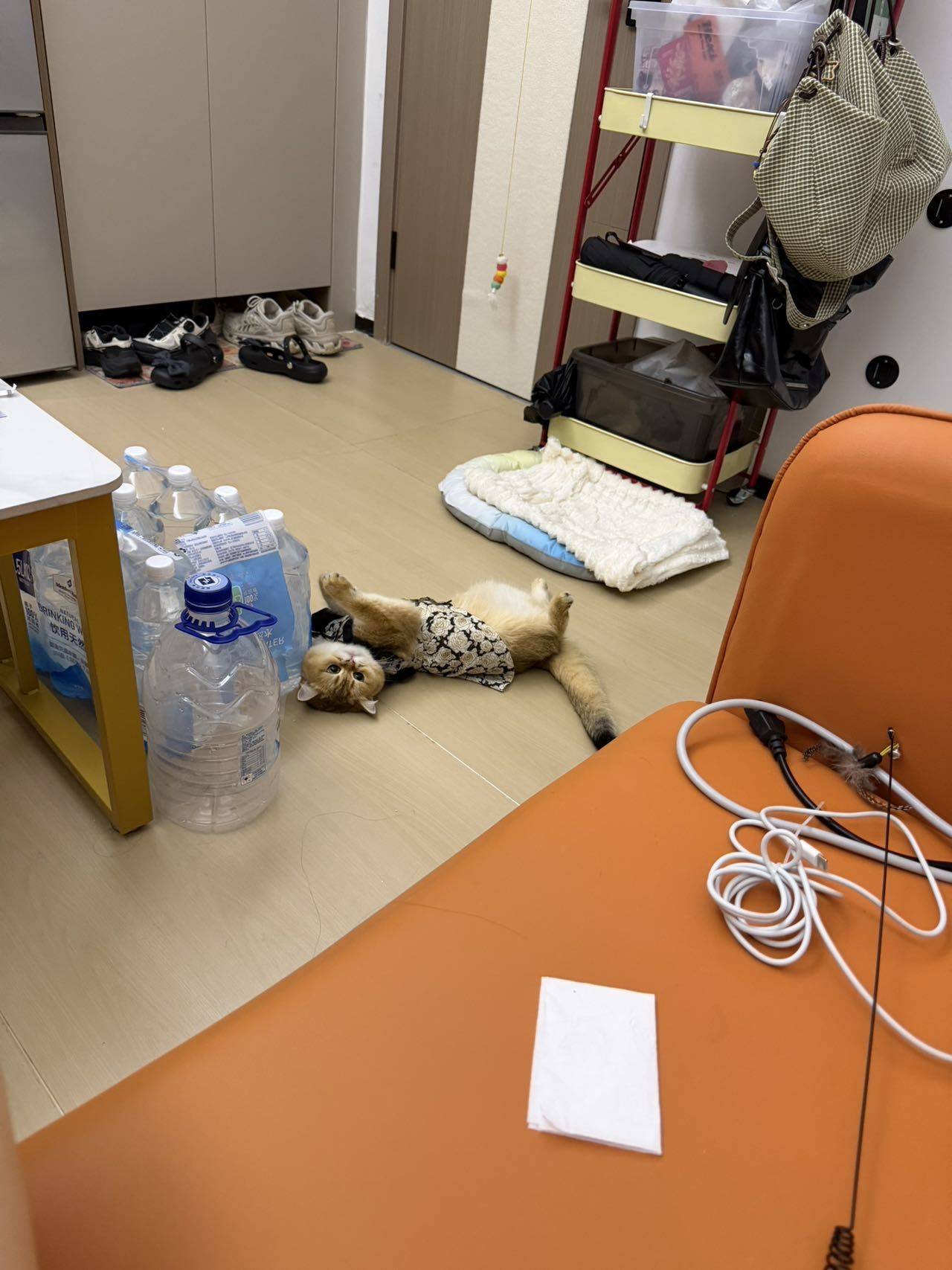 八匹马·五星公寓(深圳龙华富士康油富店)