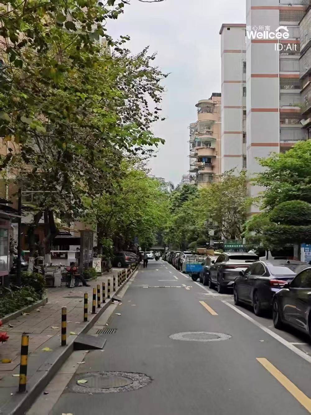 天河育蕾小区