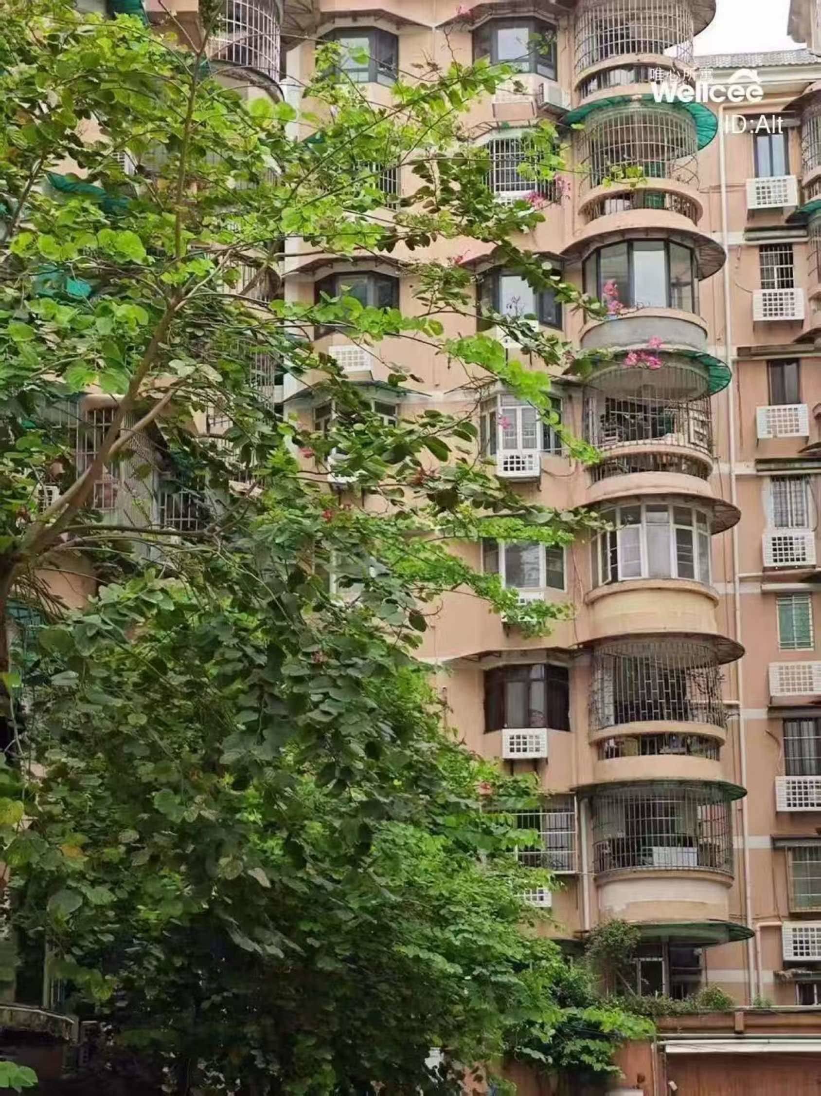 天河育蕾小区
