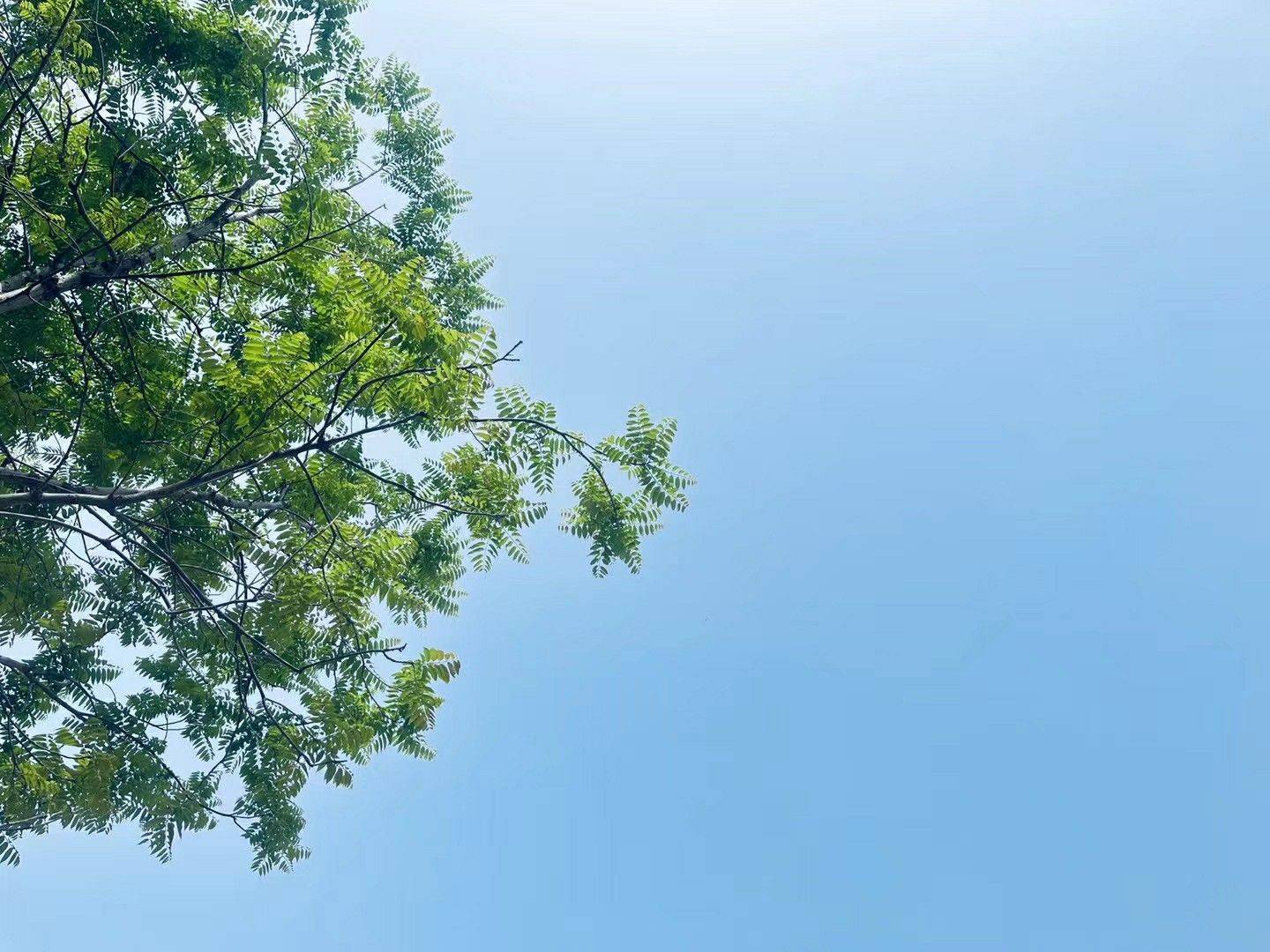 静安昌平路