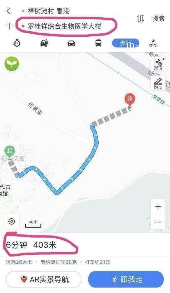 新界樟树滩