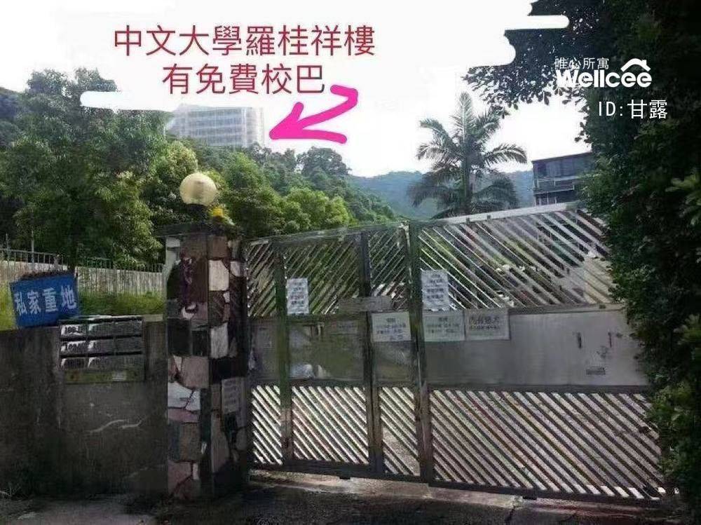 新界樟树滩