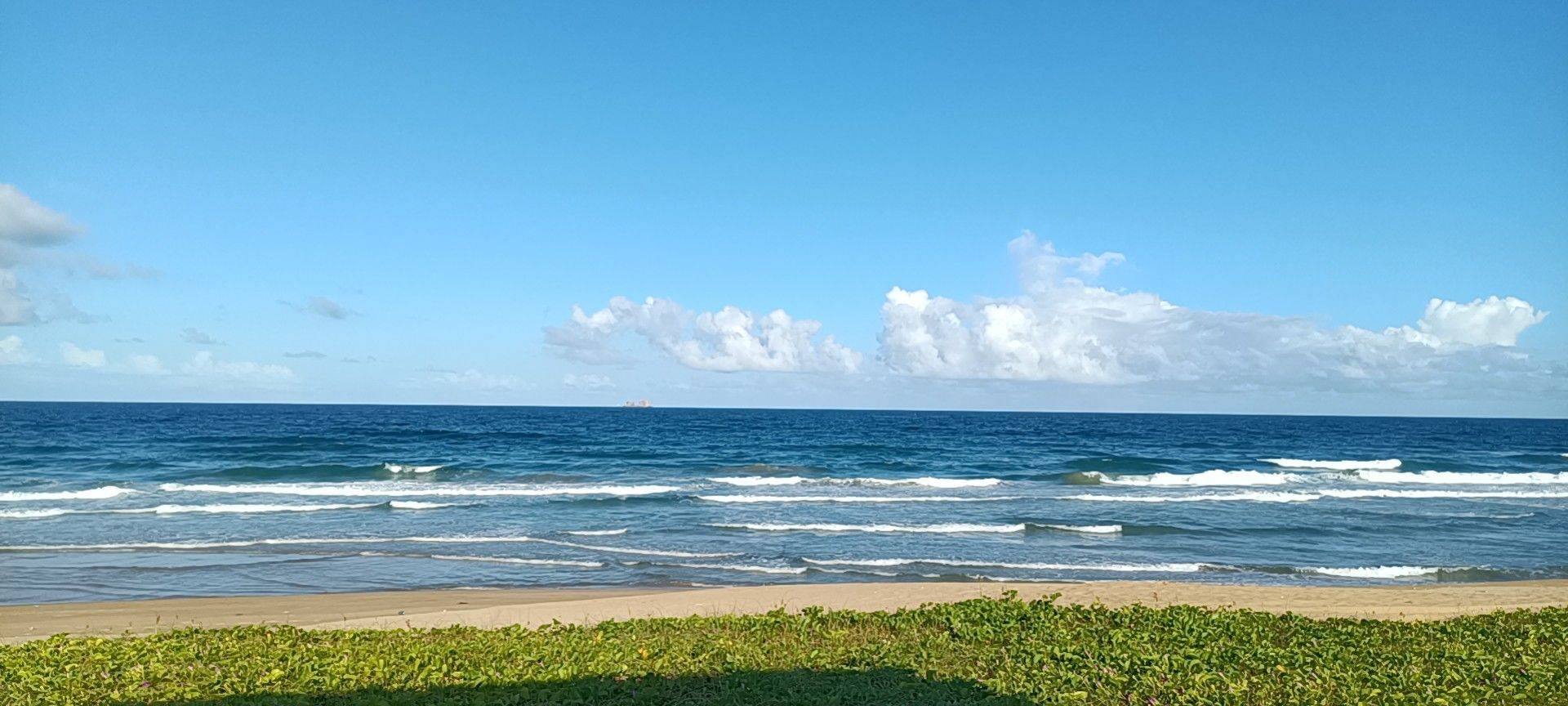 海棠保利栖棠