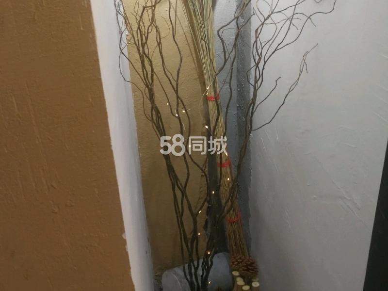 整租 | 愉景华庭 1室1厅1卫